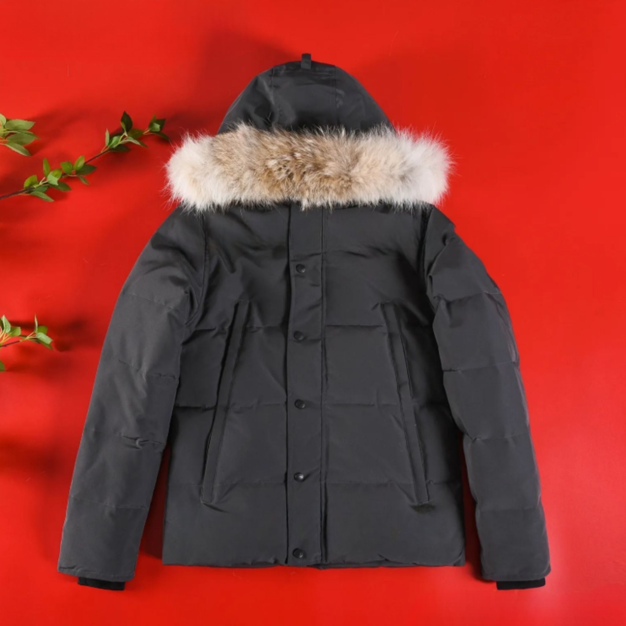 Goose Winter Jacket