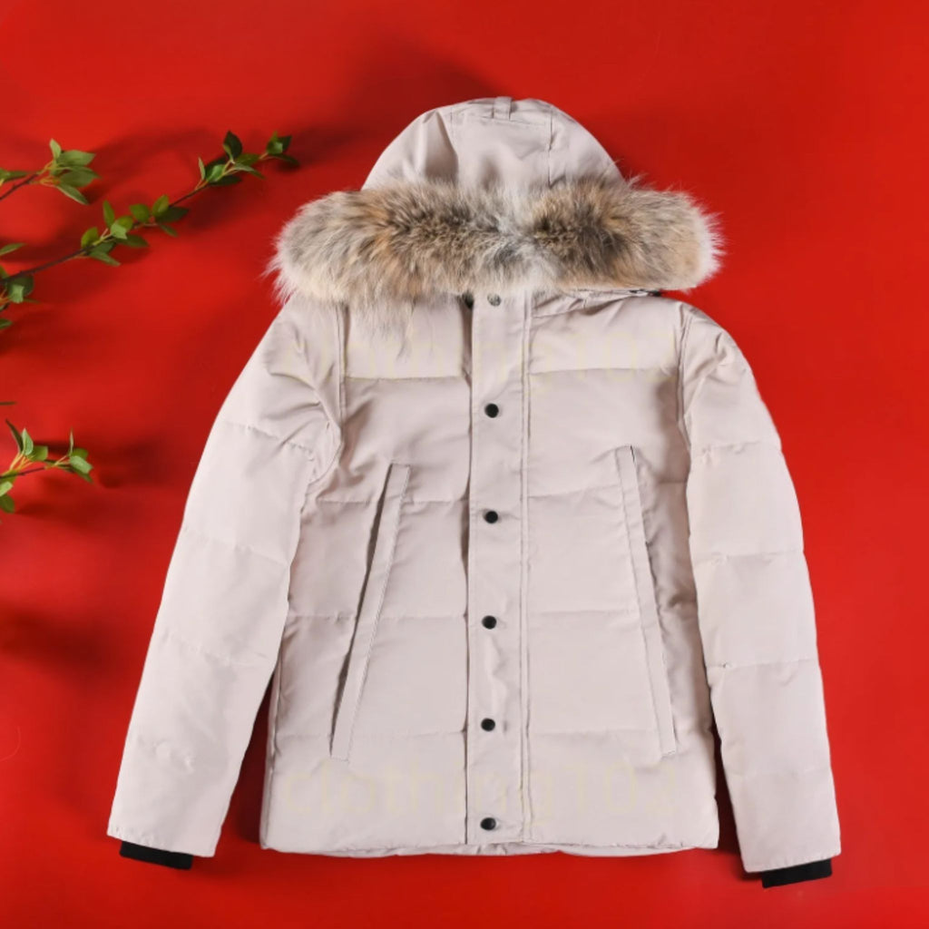 Goose Winter Jacket