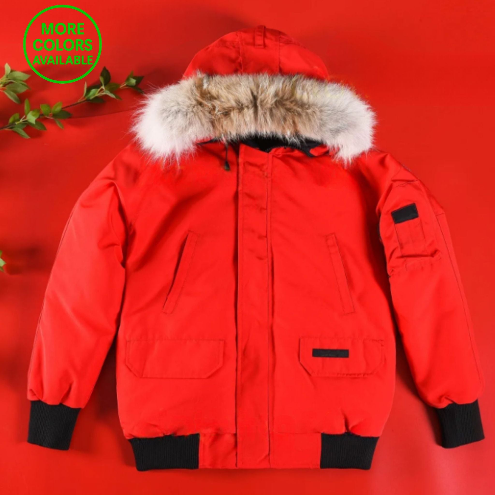 Goose Winter Jacket